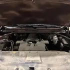 شفرولية