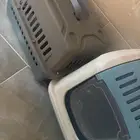 تبوك