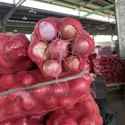 توريد خضار فوكه