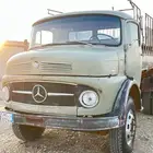 وايت حصاني شرررط