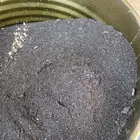 عسيب نحل نضيف