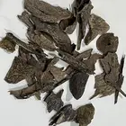 عود قديم اندرووتر