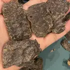 تشار فيتنامي فاخر جدا