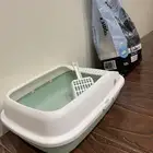 اغراض قطه