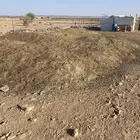 سماد غنم. مجاني جيب قلبك وحمل