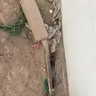 دبة يوكن نص تفريغ تركب ع ربع وشاص