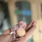 تم البيع