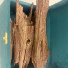 عود بخور هندي