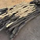 عمدان خشب كرفس