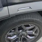 جنوط جيتور للبيع