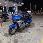 قولد وينق 2012