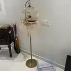 طيور للبيع الخرج