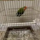 روز ذكر
