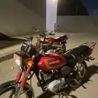 دباب x 100 للبيع لا يشكي من شي
