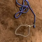 حزام كلب
