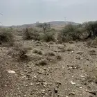 للبيع قطعة ارض سكنيه ابها - ال يعيلب