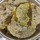 عسل سدر شمع وصافي