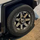 جنوط اف جي