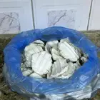 مضير -بقل