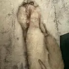 ثعلب ميت تم نتنظيفه