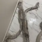 قزوز اس في ار