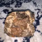 حجر