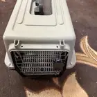 صندوق قطة