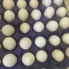 يوجد بيض حساوي البيع