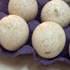 بيض دجاج رومي
