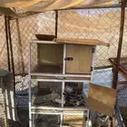 محكر ثلاث ادوار