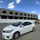 كورلا نظيف شد بلد