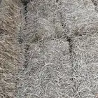 تبن قمح جديد