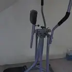 الغزال الطائر
