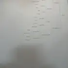 حصان واهو شيخ وحفيد ابطال