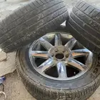 جنوط دينالي