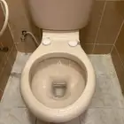 مرحاض. حمامات