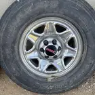 جنوط ديازل بغطيانها