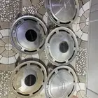 طيس كابرس وشفر