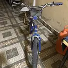 سيكل الزرق كوبرا