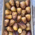 نبته علي كرتون صغير