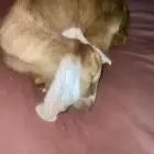 المدينه المنوره