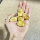 تمر بياض ومواكيل نجران يوجد كراتين بانواعها