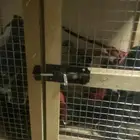 محكر للبيع الستعمل مره وحداه