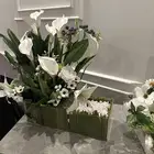 علبه هدية