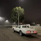 كابرس تم البيع تم البيع