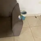 روز يعض شو لأكن إذاعصب