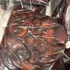 تمر فنخاء حائل (سلمى)