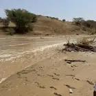 غرفه