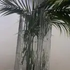 فازة زجاج ثقيل