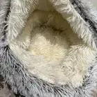 مستلزمات قطط